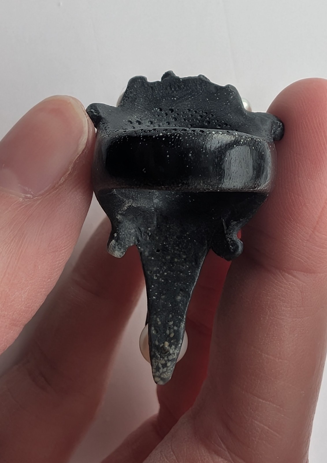 Macabre Gadgets – Raven Ring – Coral – US 6 | UK L ½ | J 11 | 16.5 mm