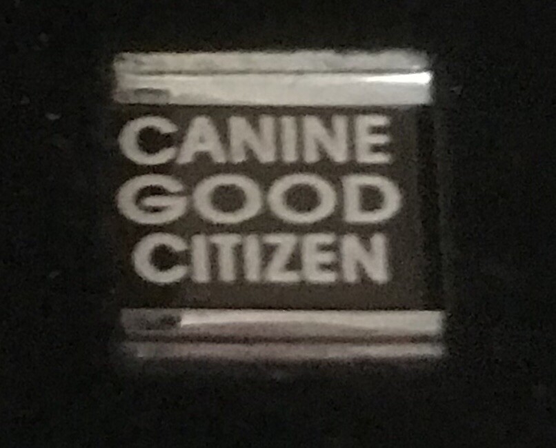 Canine Good Citizen Laser Italian Charm Link 9MM K47