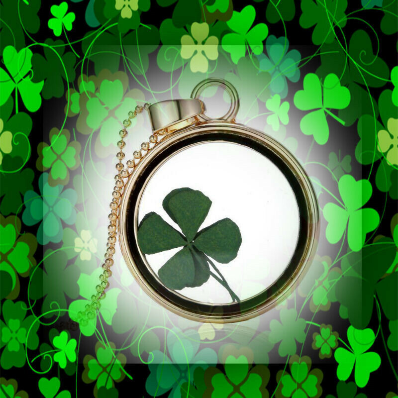 Natural Real Dried Clover Flower Clear Resin Locket Pendant Necklace Four-Leaf