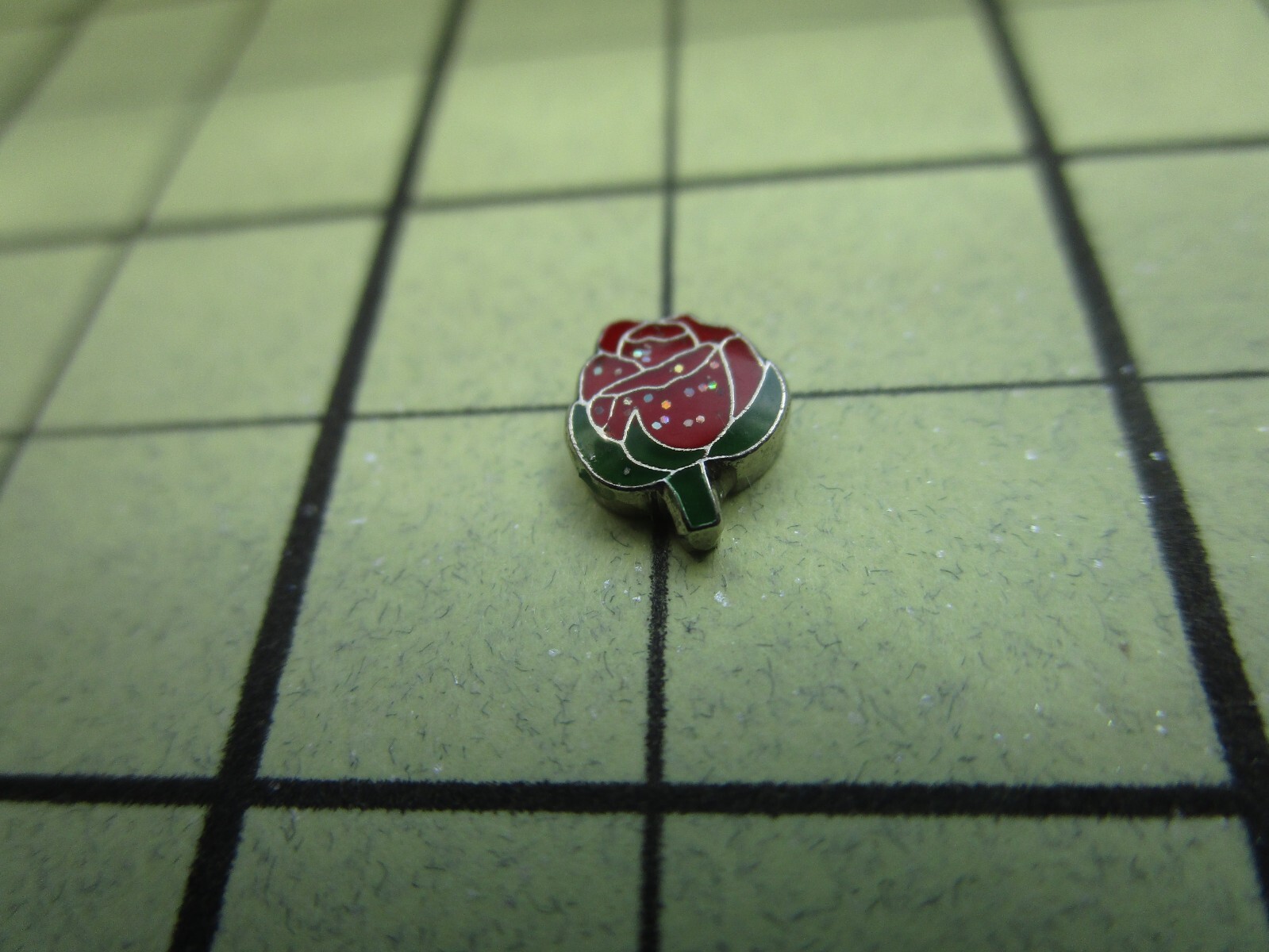 Colorful Enamel Nature, Flowers, Leaf, Spring Floating Charms to fit Origami Owl