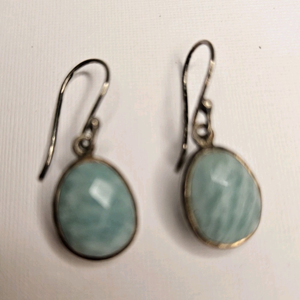 Silver Tone Blue Oval Stone Bezel Set Dangle/Drop Hook Earrings for Lobe