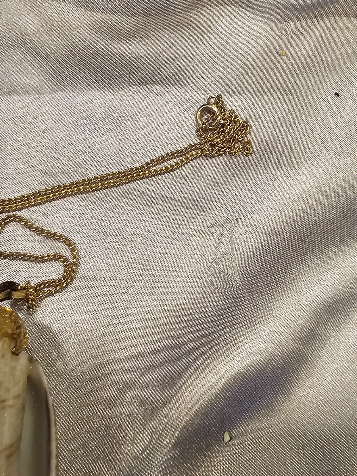 Natural Seashell Pendant Necklace – Gold‑Tone Chain, Coastal Boho Beach Jewelry