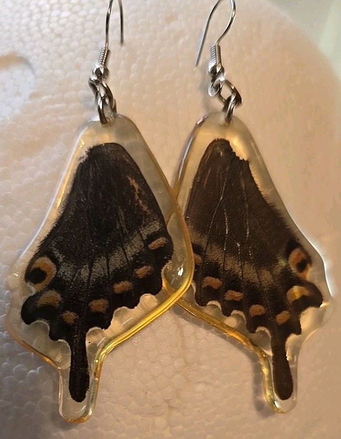 Unique Real Butterfly Wings Earrings Resin Drop/Dangle Jewelry , 2in X 1 1/8in