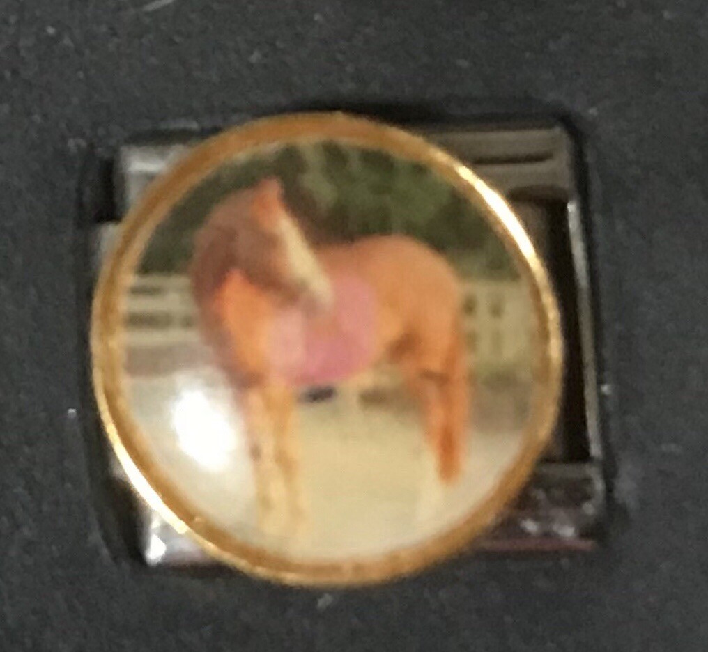 Horse in Field Style FB Enamel WHOLESALE ITALIAN CHARM 9MM K52