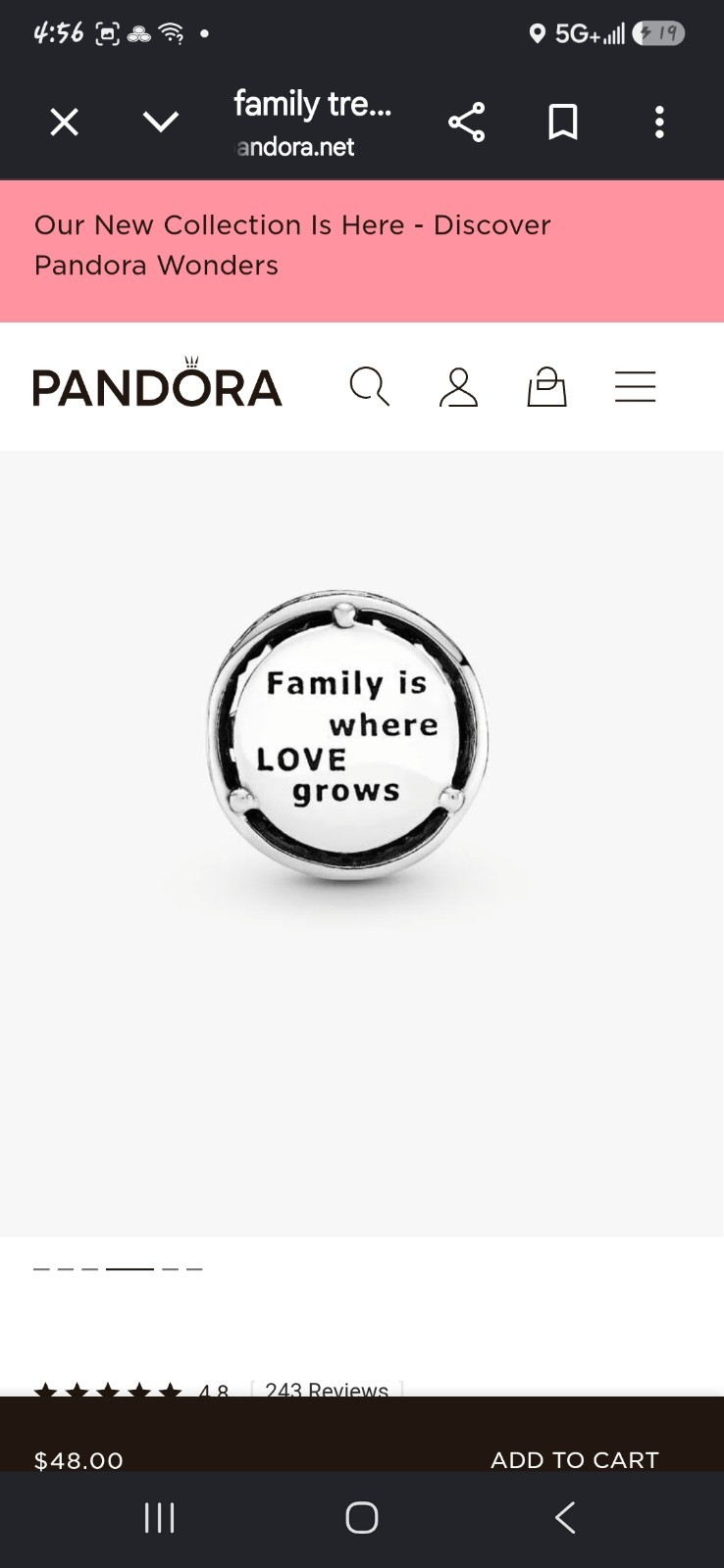 Pandora “Family Is Where Love Grows” Charm