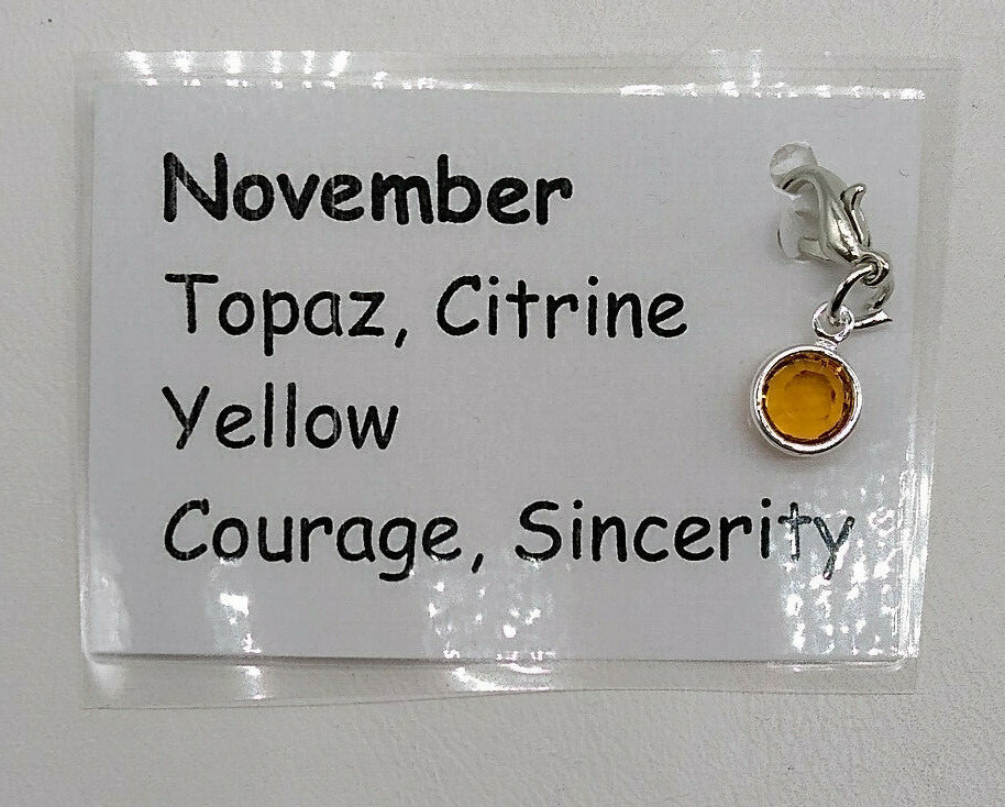 Made with Swarovski Crystal Birthstone Channel Charm; November; Silver Plate