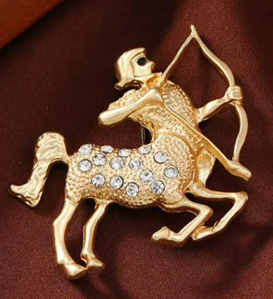 ZODIAC astrology PINS sign HOROSCOPE constellations birthday month brooch stars