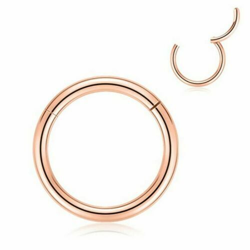 2PC Stainless Steel Segment Hinged Clicker Ear Nose Body Ring Lip Hoop Piercing