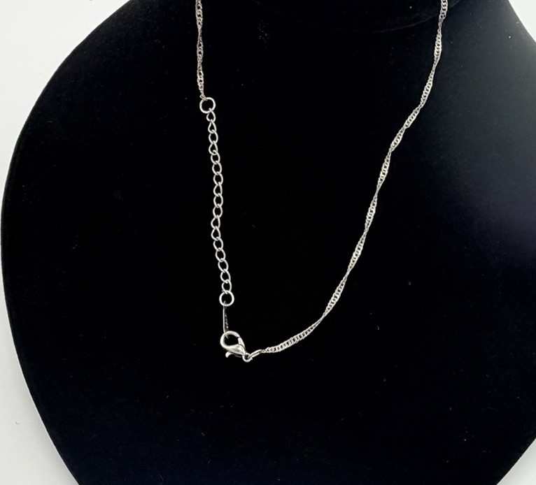 Silver Tone Halo CZ Crystal Pendant Necklace Round Clear Stone Adjustable