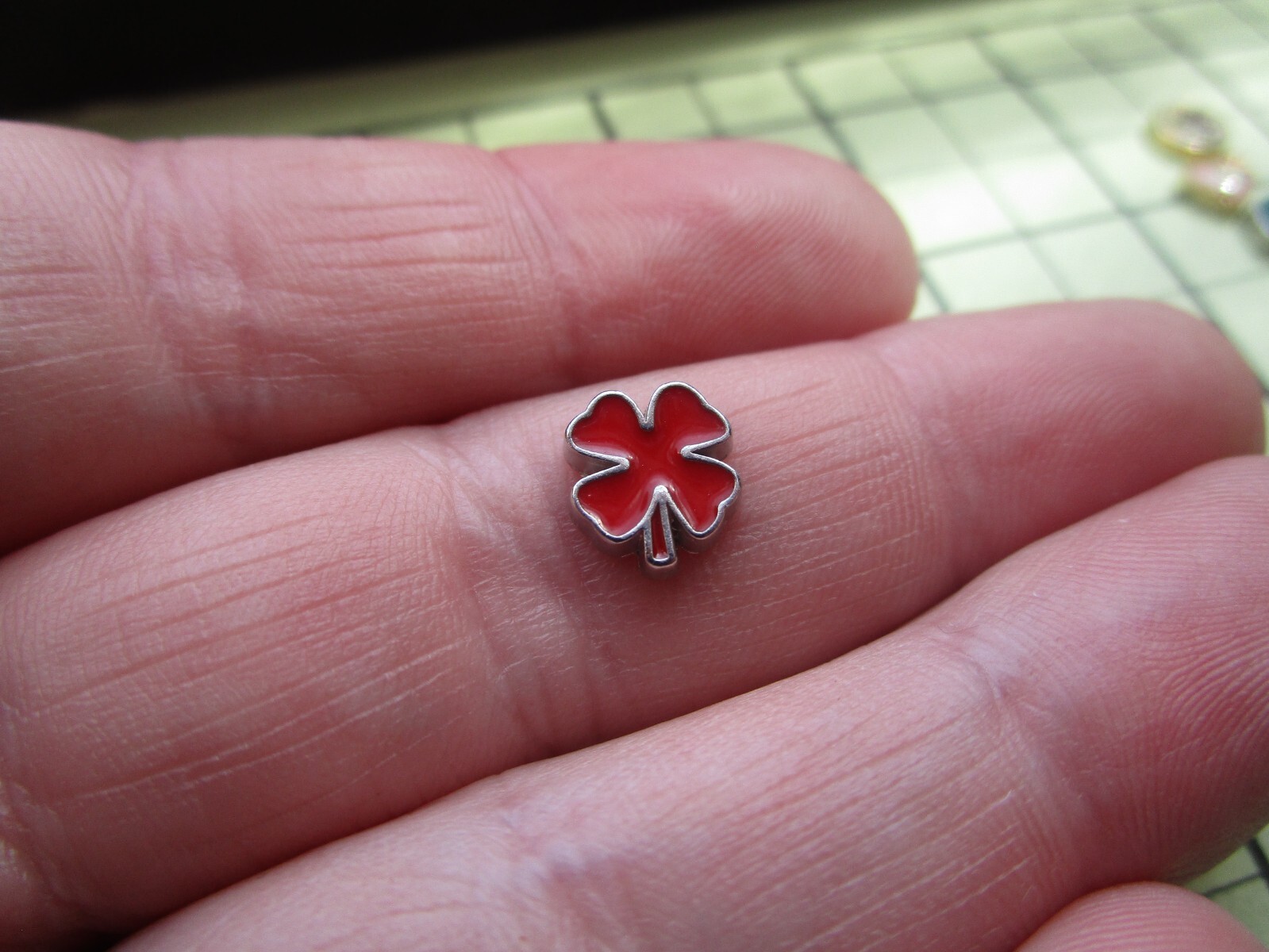 Colorful Enamel Nature, Flowers, Leaf, Spring Floating Charms to fit Origami Owl