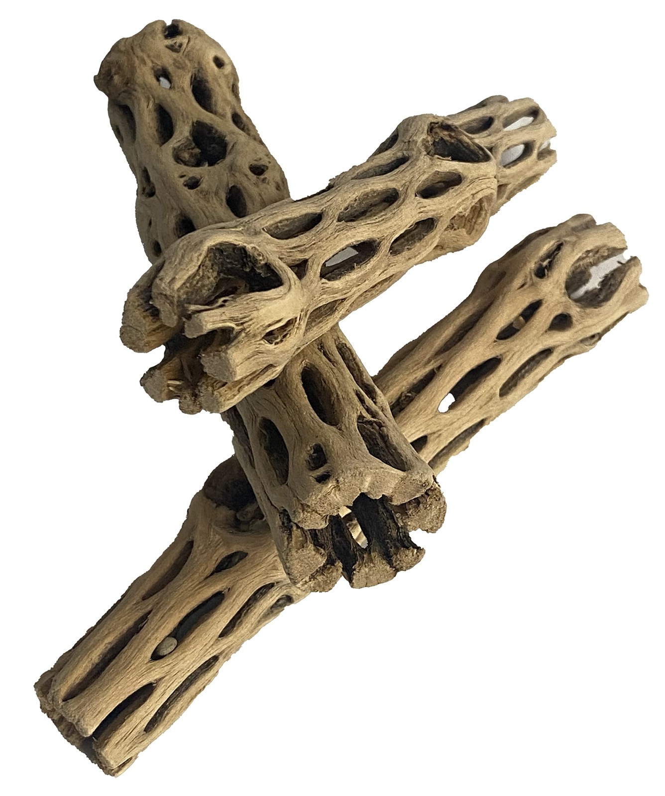 Awesome Aquatic Natural Cholla/Choya Wood 3 Pieces 6” for Shrimp 3 pc 6 inch