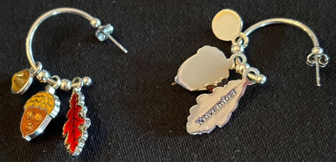 2011 Willabee&Ward 12-Mo Charm Pierced Dangle Hoop Earrings Set in Display Case