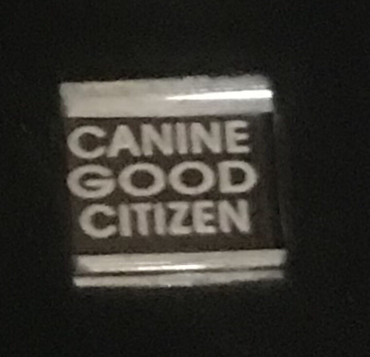 Canine Good Citizen Laser Italian Charm Link 9MM K47
