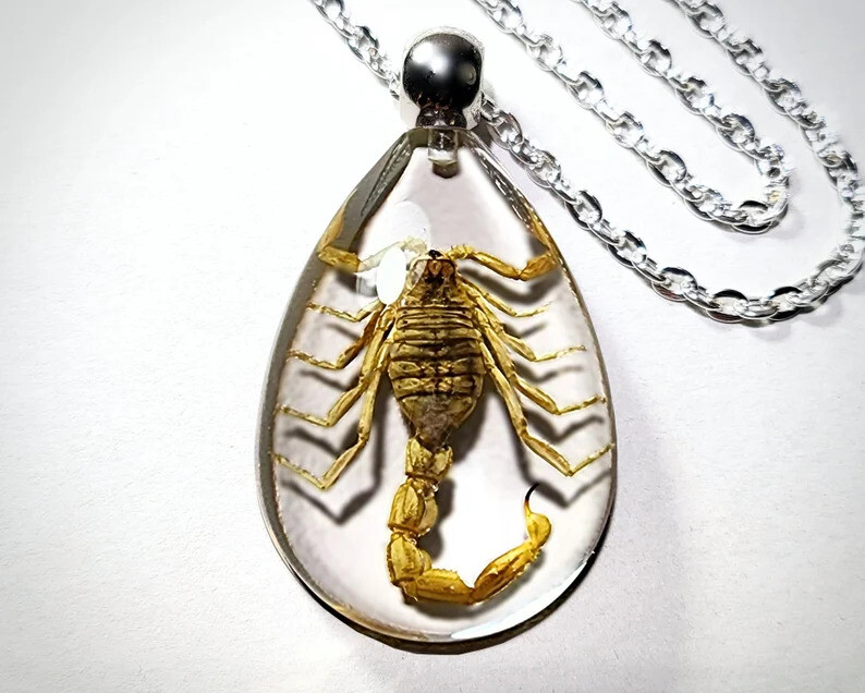 Yellow Scorpion Clear Necklace, Real Insect Jewelry, Mesobuthus Martensii