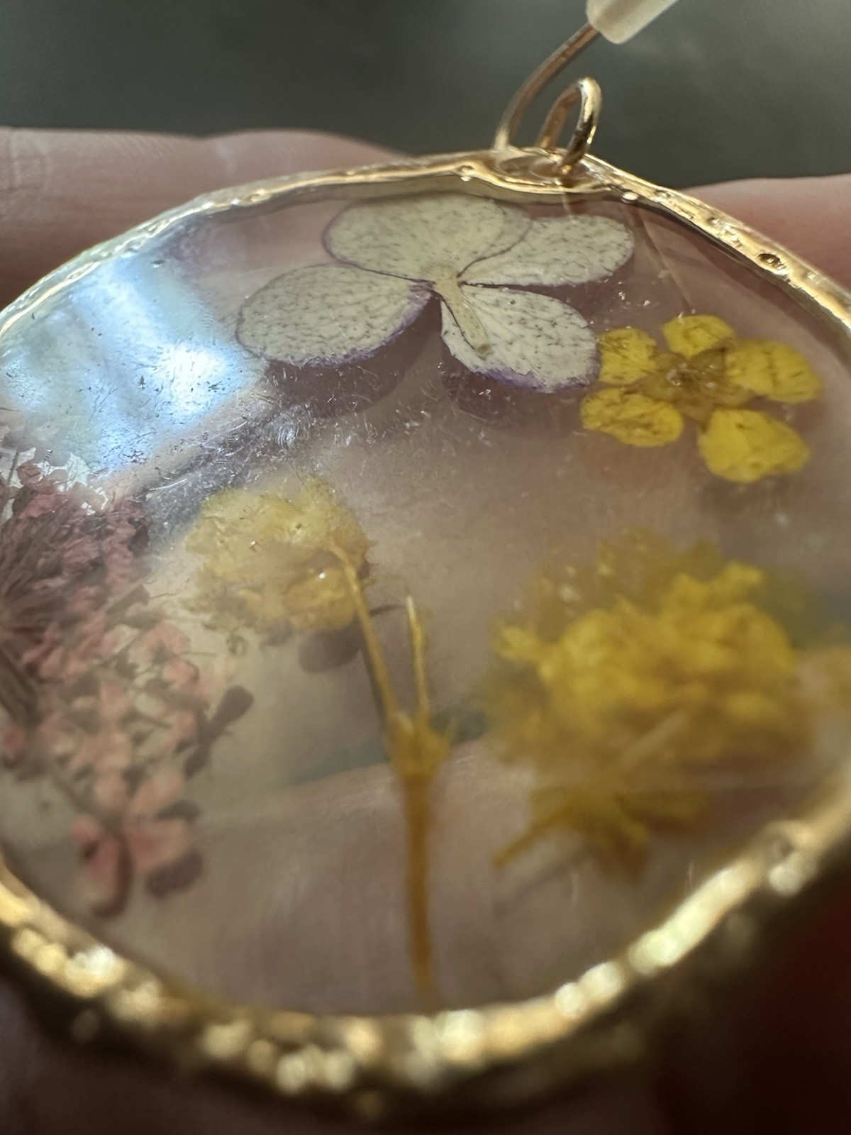 Real Pressed Flower Botanical Dangle Earrings Clear Resin Gold Plated