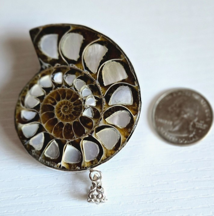Large Ammonite Fossil Pendant with Mother of Pearl Inlay Silver 925 Frame 56 gr