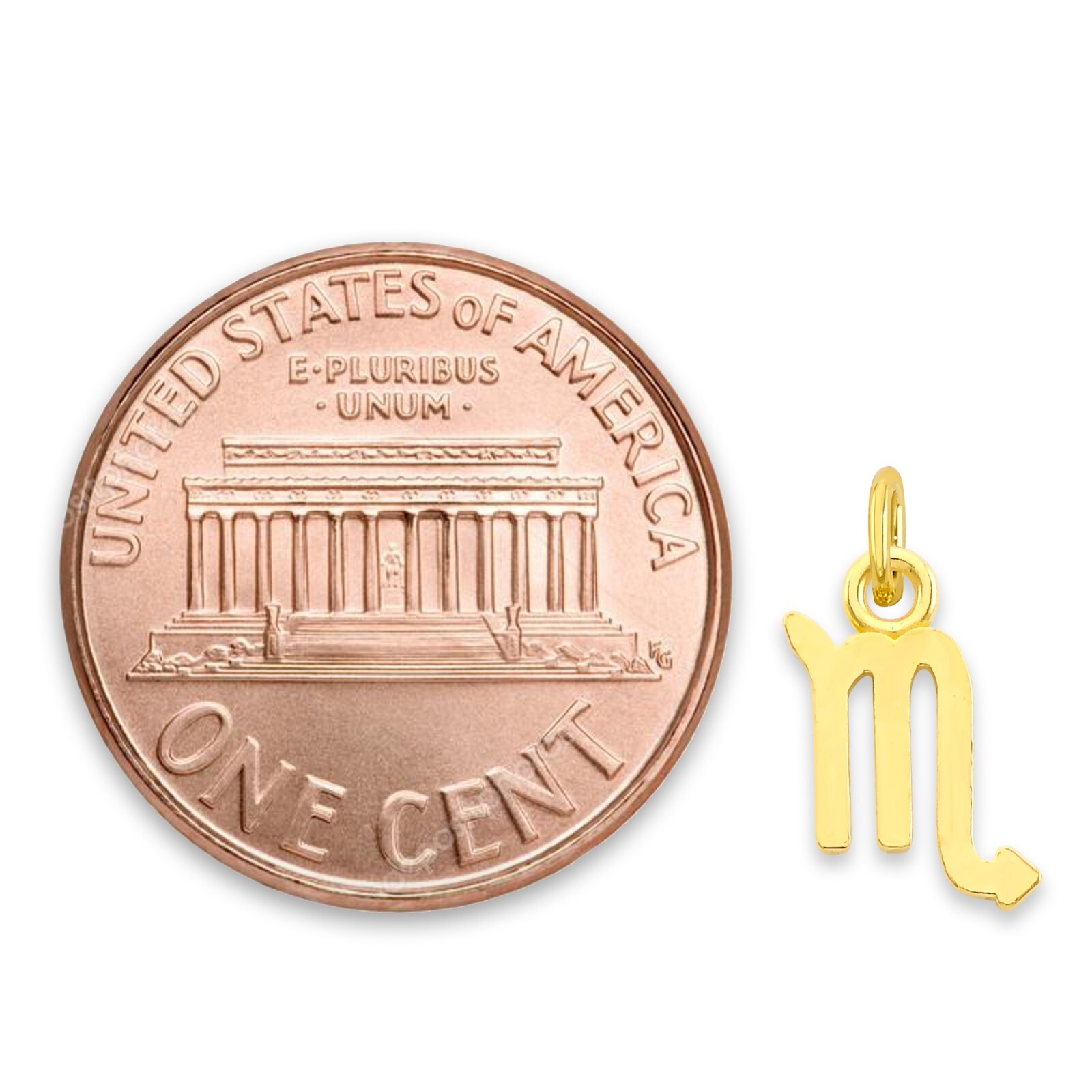 Solid Gold Zodiac Charm Available in 10k or 14k, Cute Horoscope Charm