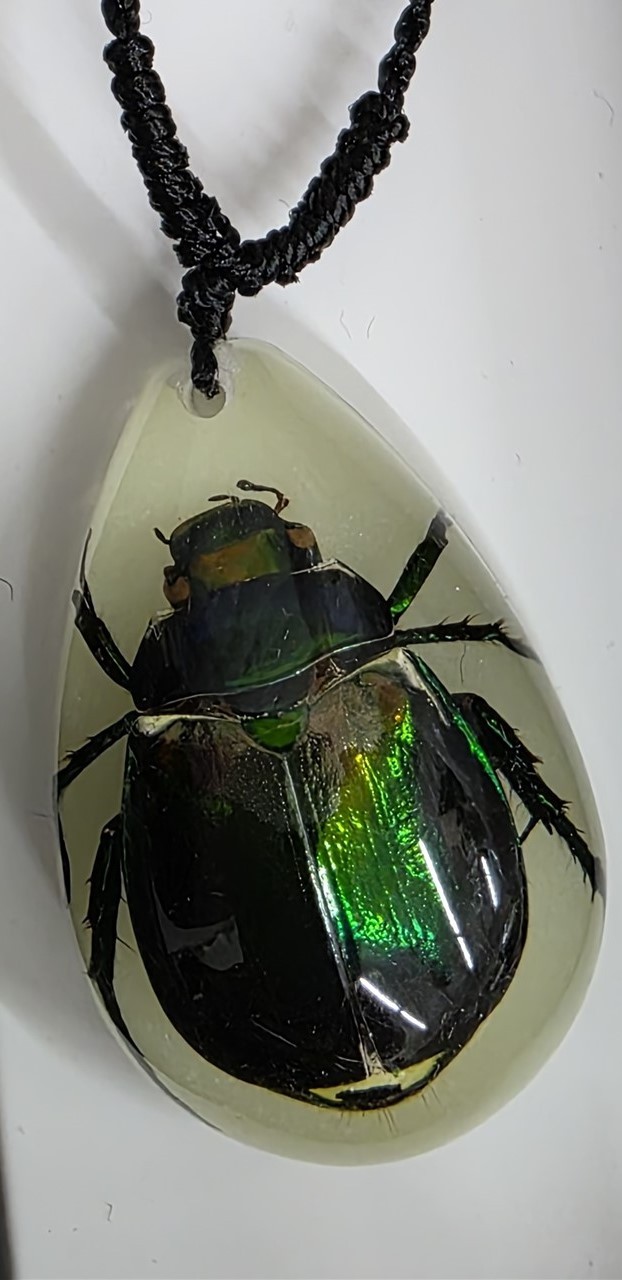 Victorian Trading Curio Rutelian Beetle Glow in the Dark Necklace Specimen 29C