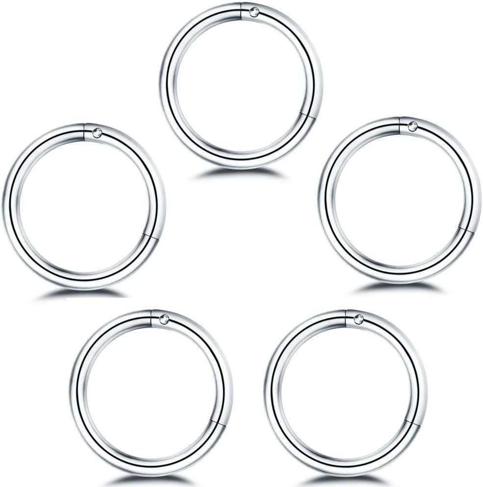5Pcs Stainless Steel 16G 18G Sleeper Hoop Earrings for Women Men Septum Hinge…