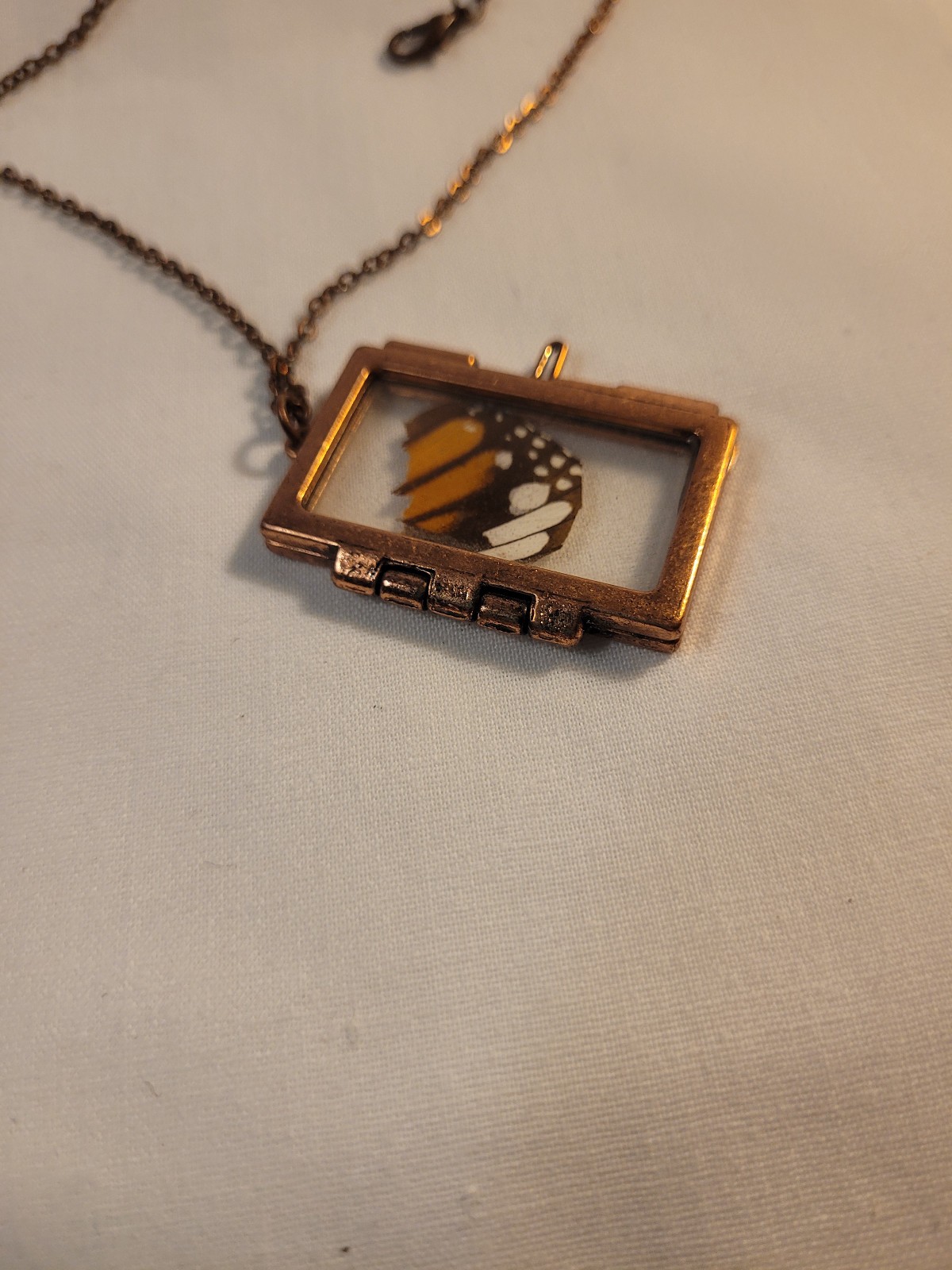 Copper butterfly wing caged locket 31″ chain