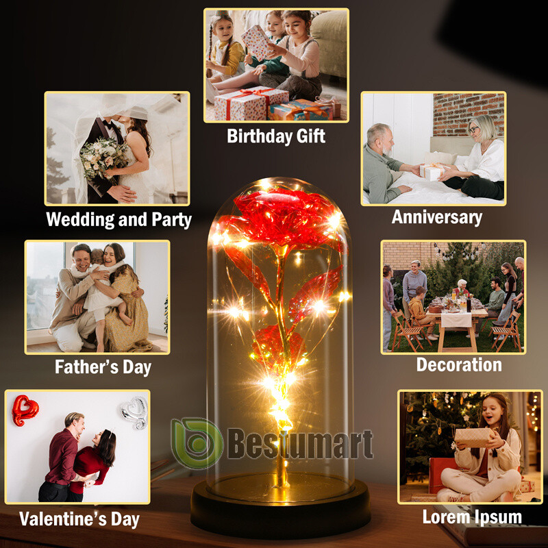 Gifts for Wife Women Wife Gifts for Her Christmas Girlfriend Gifts Birthday Gift