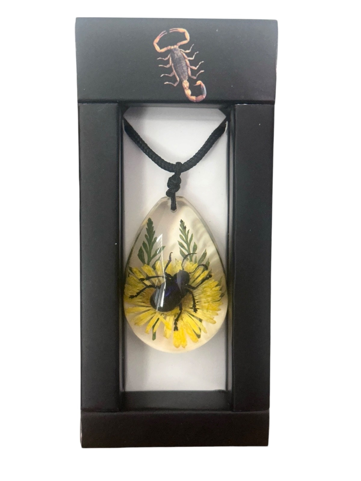 Necklace- Blue Leaf Beetle insect -flower- black Slider cord -pear shape