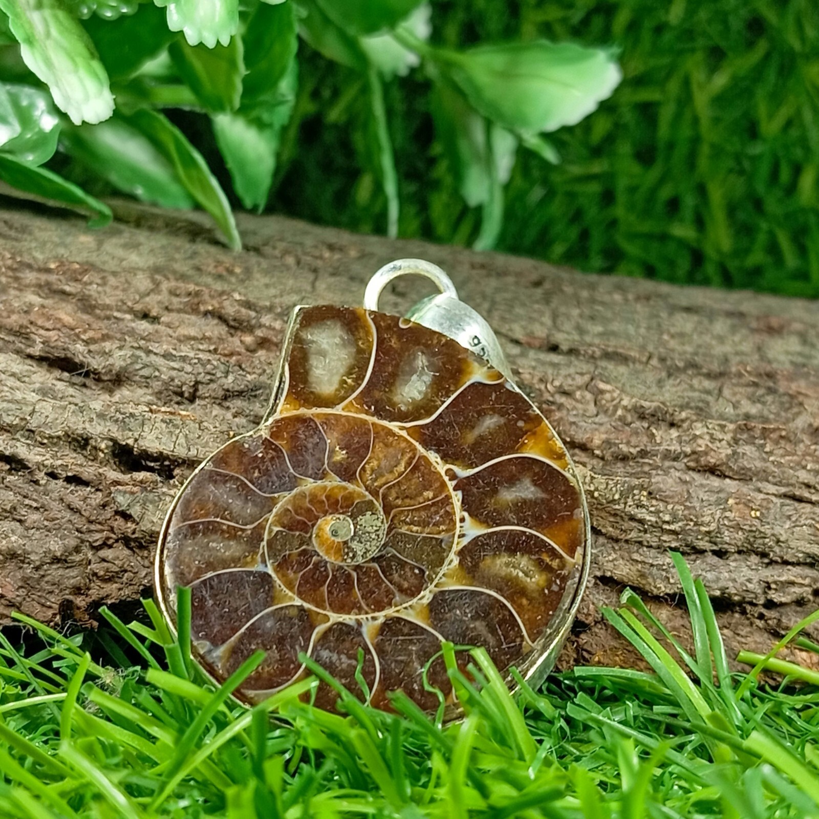 Ammonite Fossil Pendant Handmade Gemstone 925 Sterling Silver Jewelry Pendant