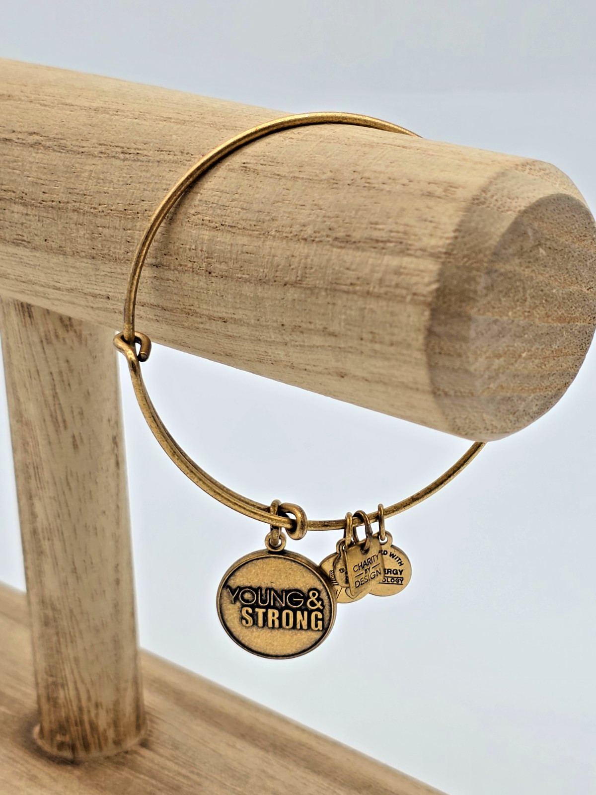Alex and Ani YOUNG & STRONG Charity by Design Rafaelian Gold Charm Bangle