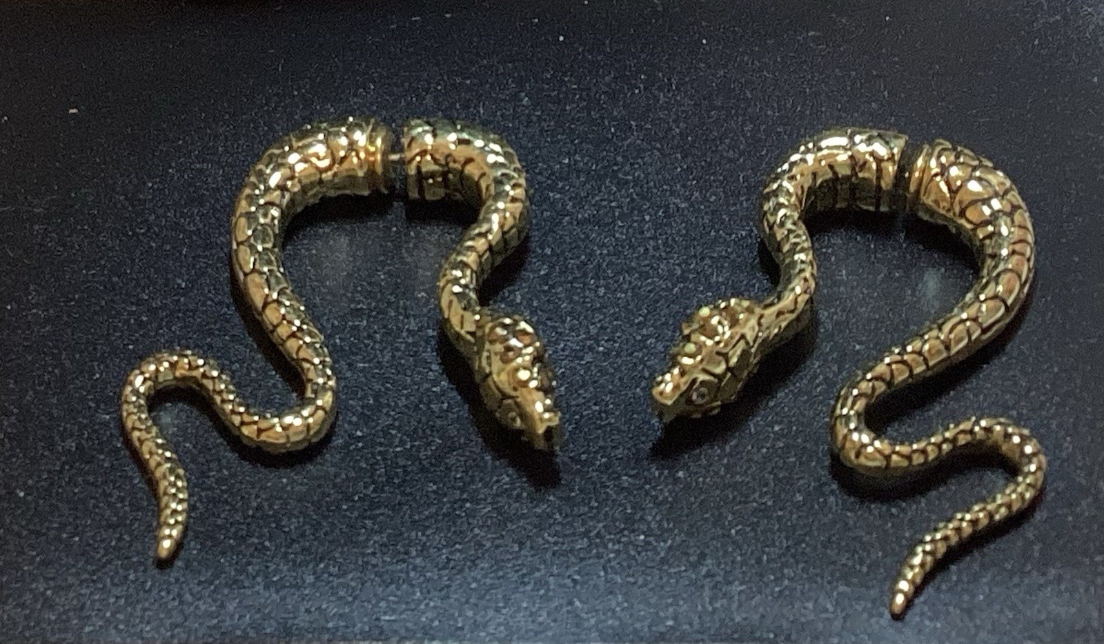 Simply Vera Wang Front To Back Snake Pierced Earrings New! Gothic Elegant!