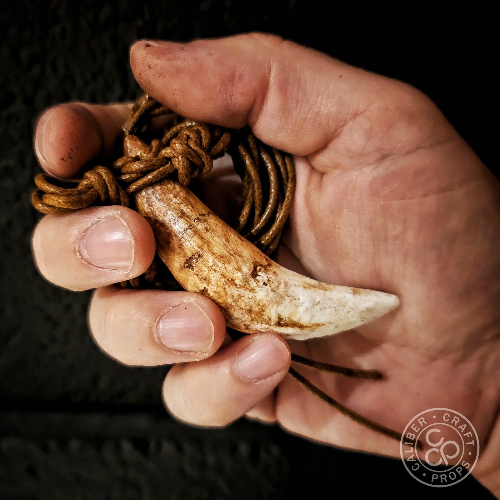 Prehistoric Wolf Fang Necklace Pendant Cast Resin Over 3″ long! Spartan Leonidas