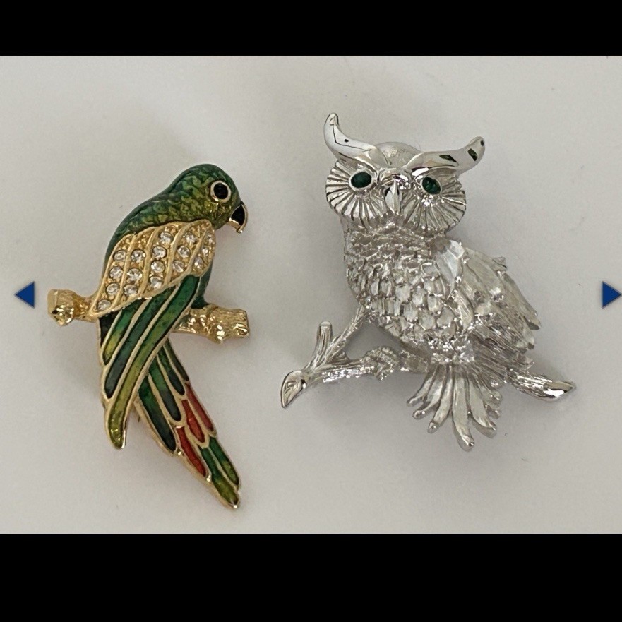 Signed 2pc Bird Brooch Pin Set Enamel Parrot & Rhinestone Owl Multicolor 2 in