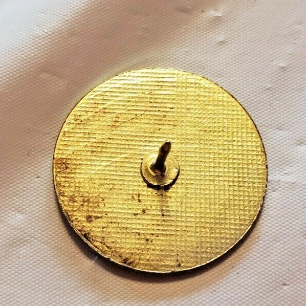 VTG I’M EASY TO PLEASE…JUST DO IT MY WAY ENAMEL LAPEL PIN MISSING BACK CLASP
