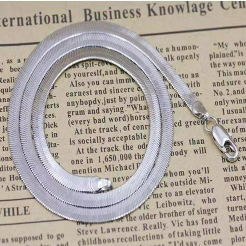 Titanium Steel Necklace Flat Snake Chain Heavy Collarbone Chain Sweater Chain