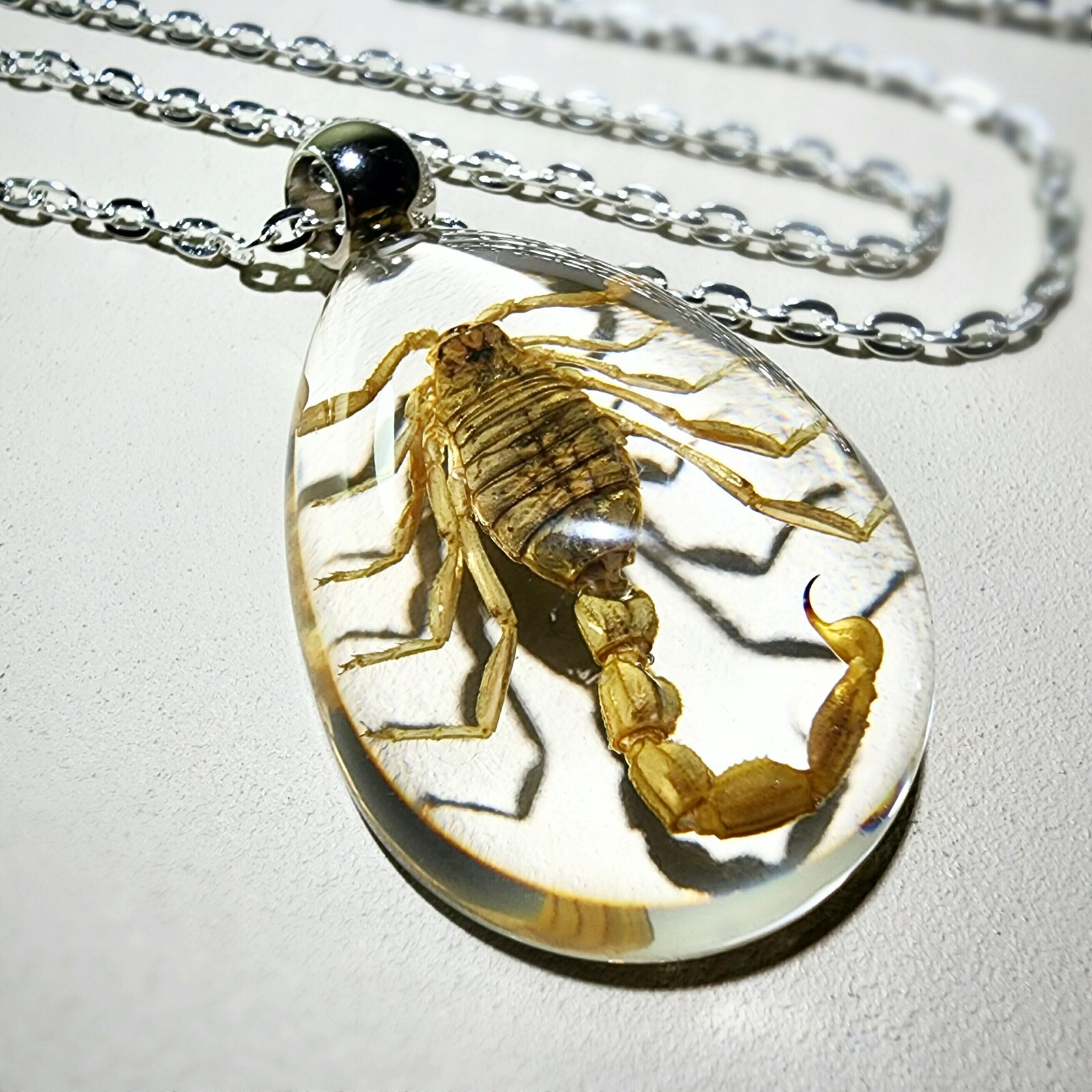 Yellow Scorpion Clear Necklace, Real Insect Jewelry, Mesobuthus Martensii