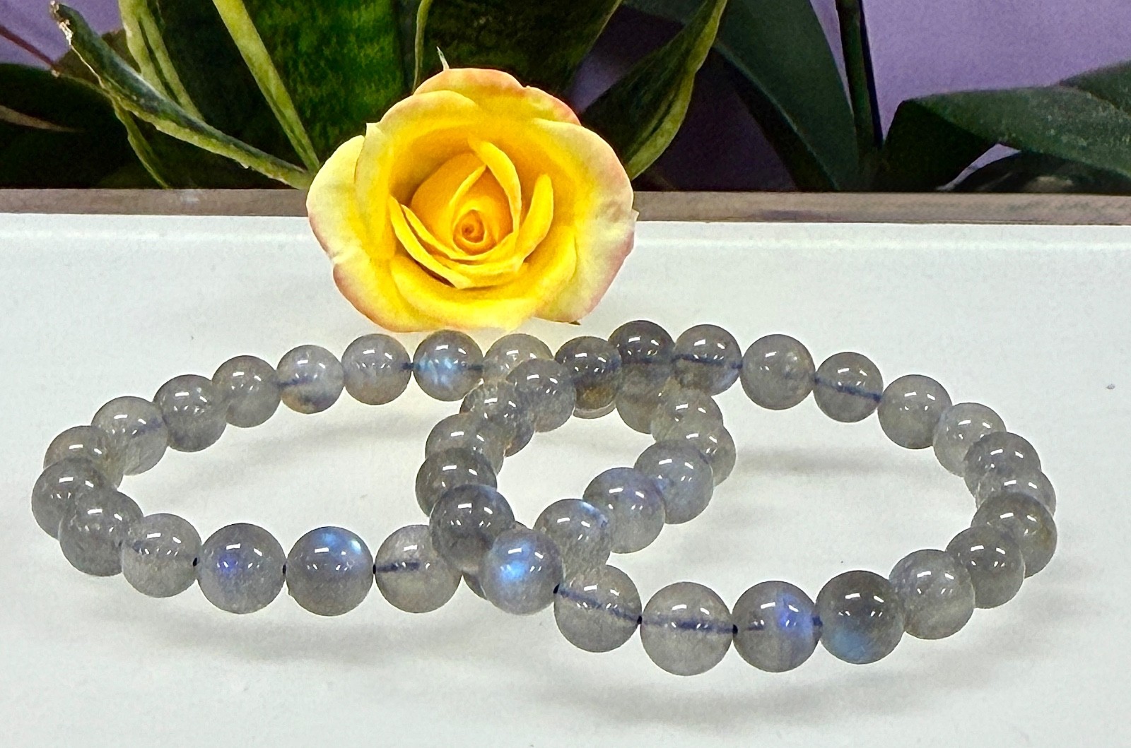 Wholesale 6 Pcs Natural Labradorite Bracelet 8mm 7.5” Healing Crystal Natural