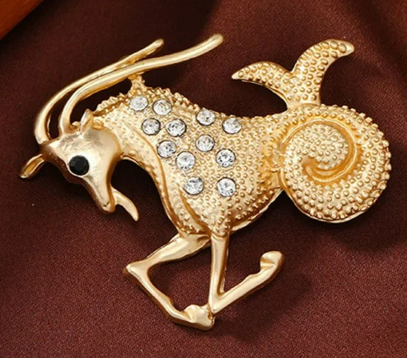 ZODIAC astrology PINS sign HOROSCOPE constellations birthday month brooch stars