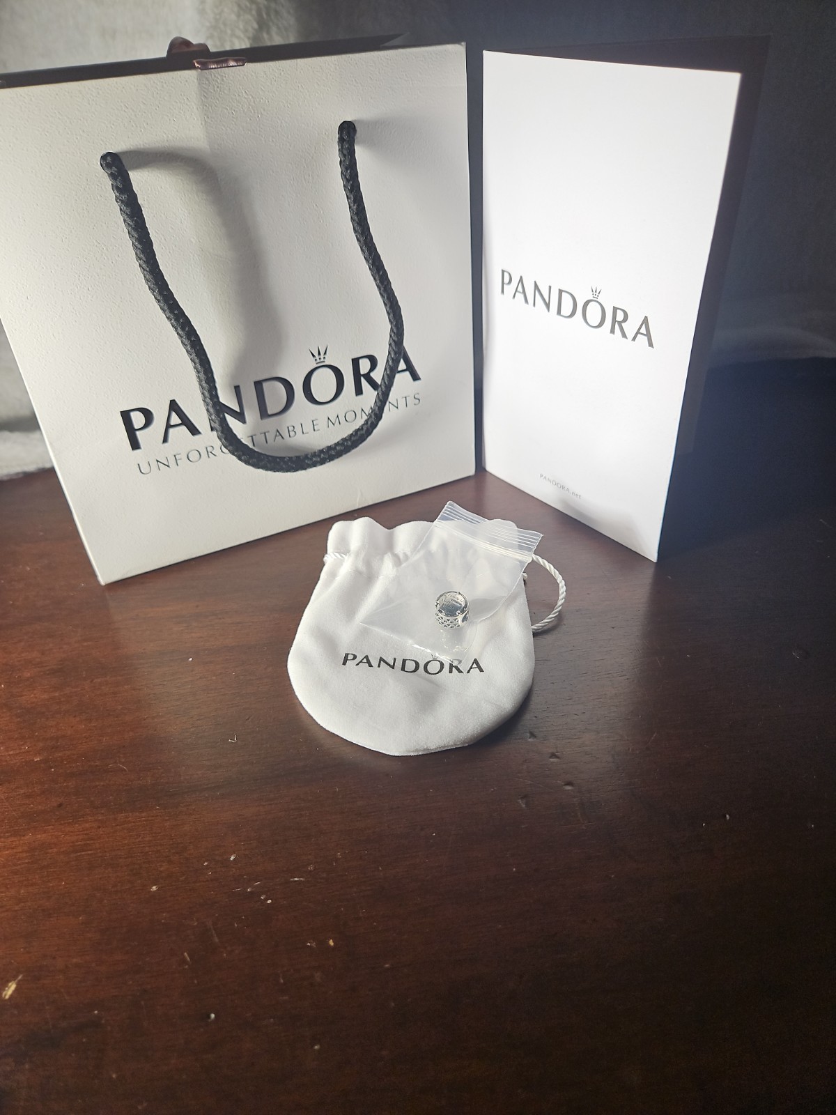 Pandora “Family Is Where Love Grows” Charm