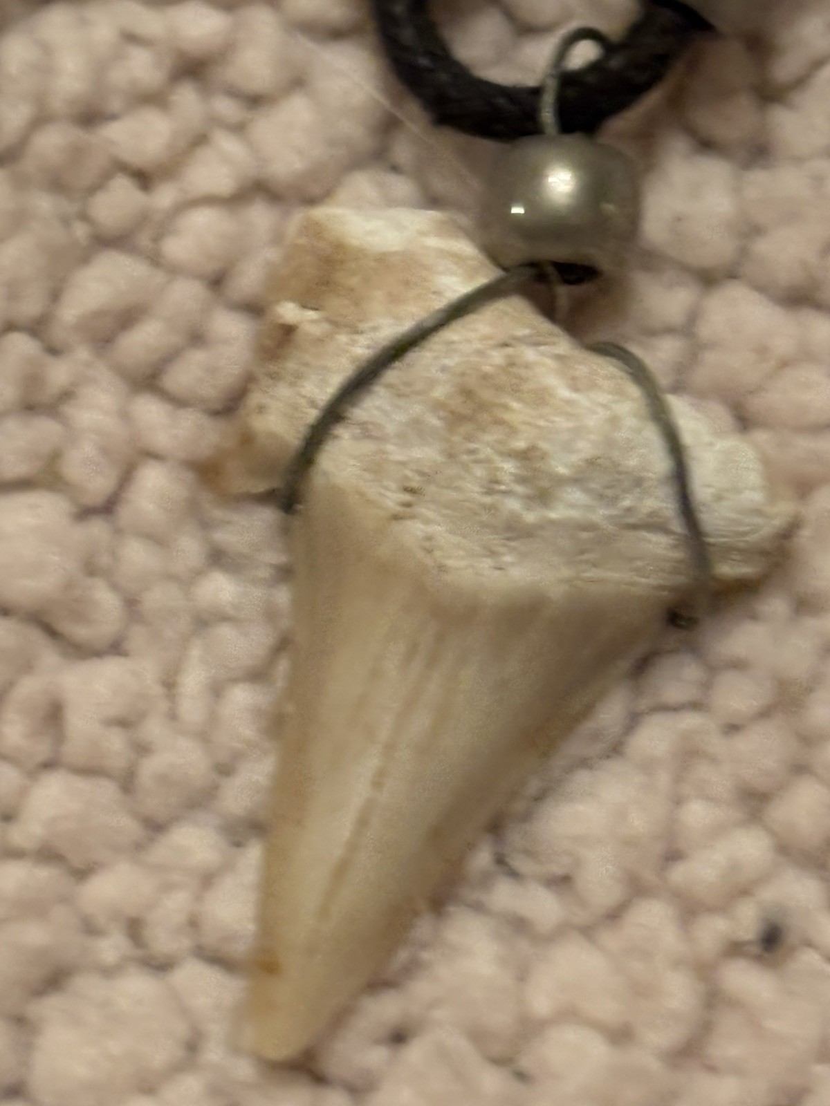 Tribal Spirit Necklace Lot of 5 BOHO Dolphin shell Eagle Shark Cat REN Fair