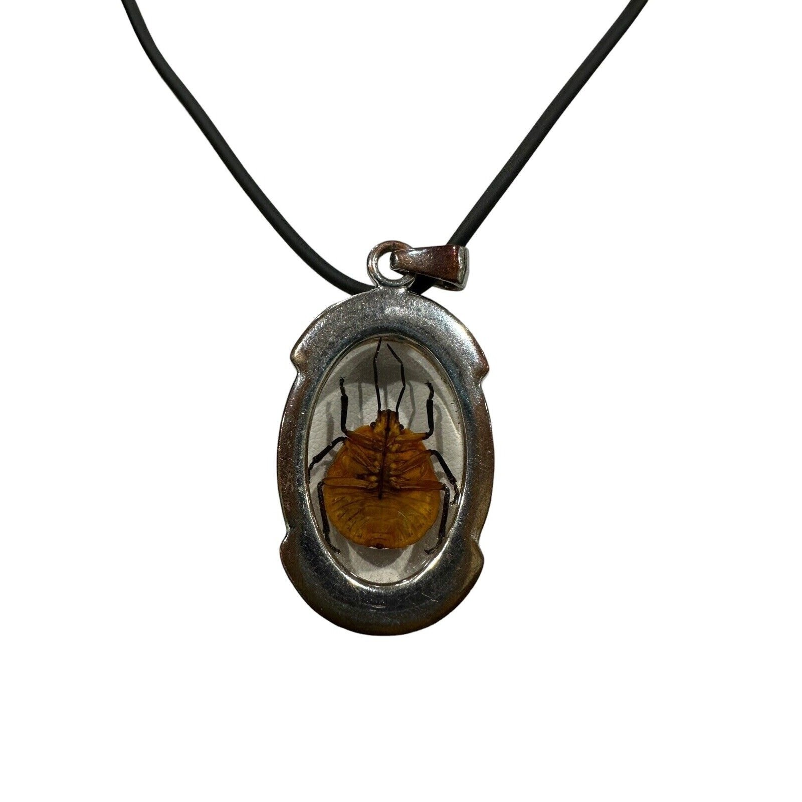 Real Beetle in Lucite With Silver Metal Findings Fancy Necklace Black Cord EUC