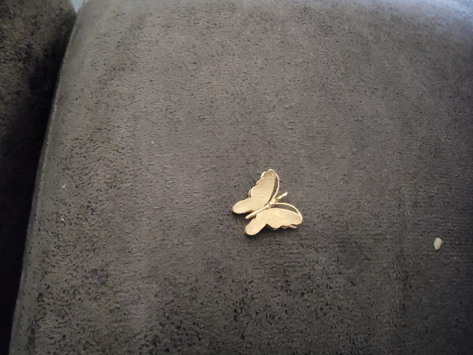 a gold butterfly not sure what kt tested with 22 acid ans did not wash away