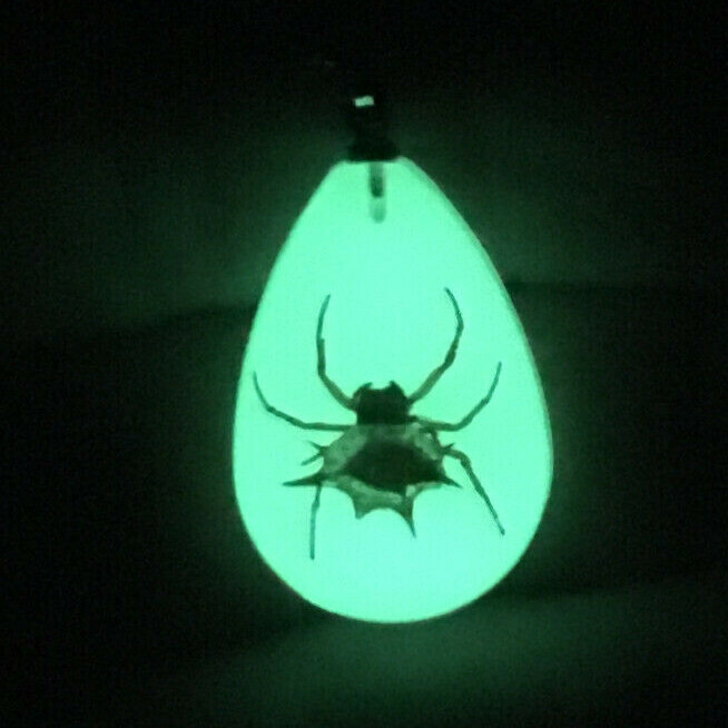 REAL Spider Pendant Necklace Spiny Backed Orbweaver Glows in the Dark