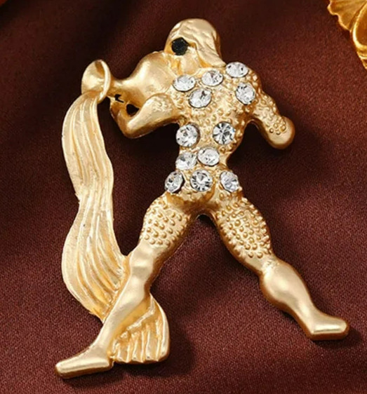 ZODIAC astrology PINS sign HOROSCOPE constellations birthday month brooch stars