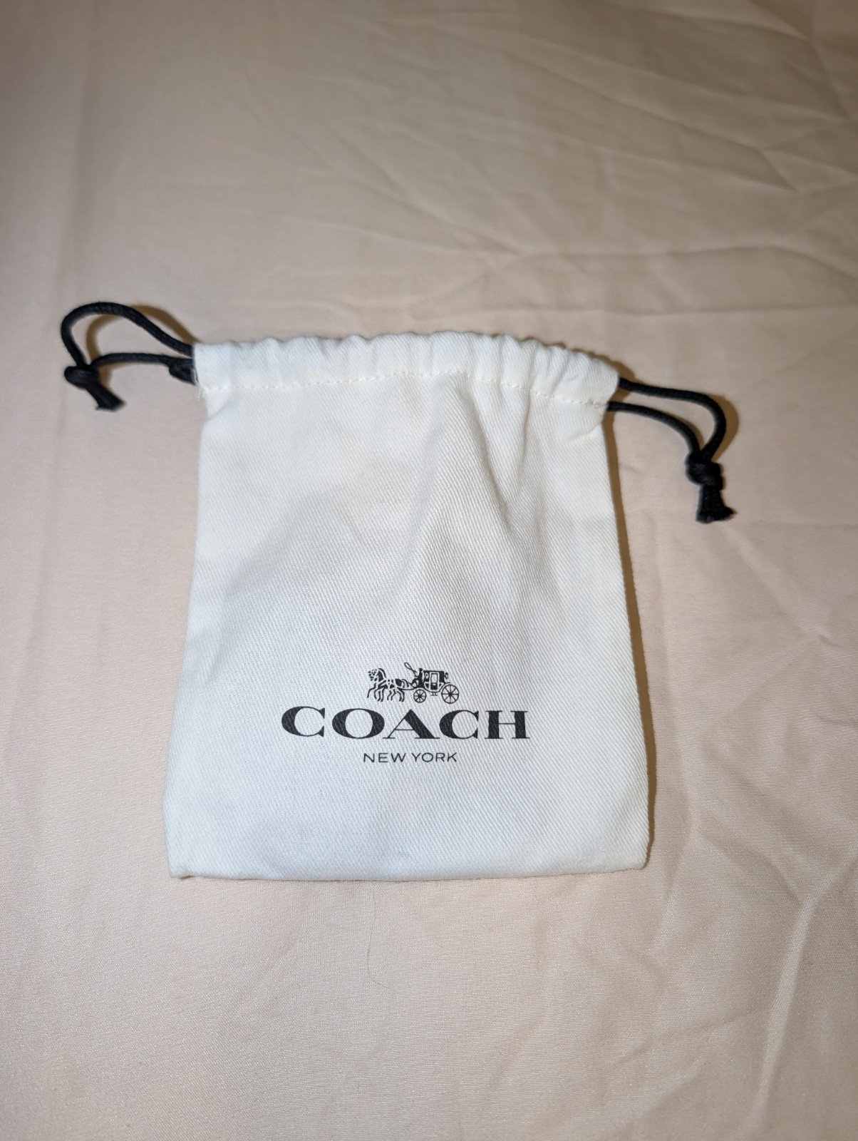 COACH Rose Gold Necklace and Stud Set