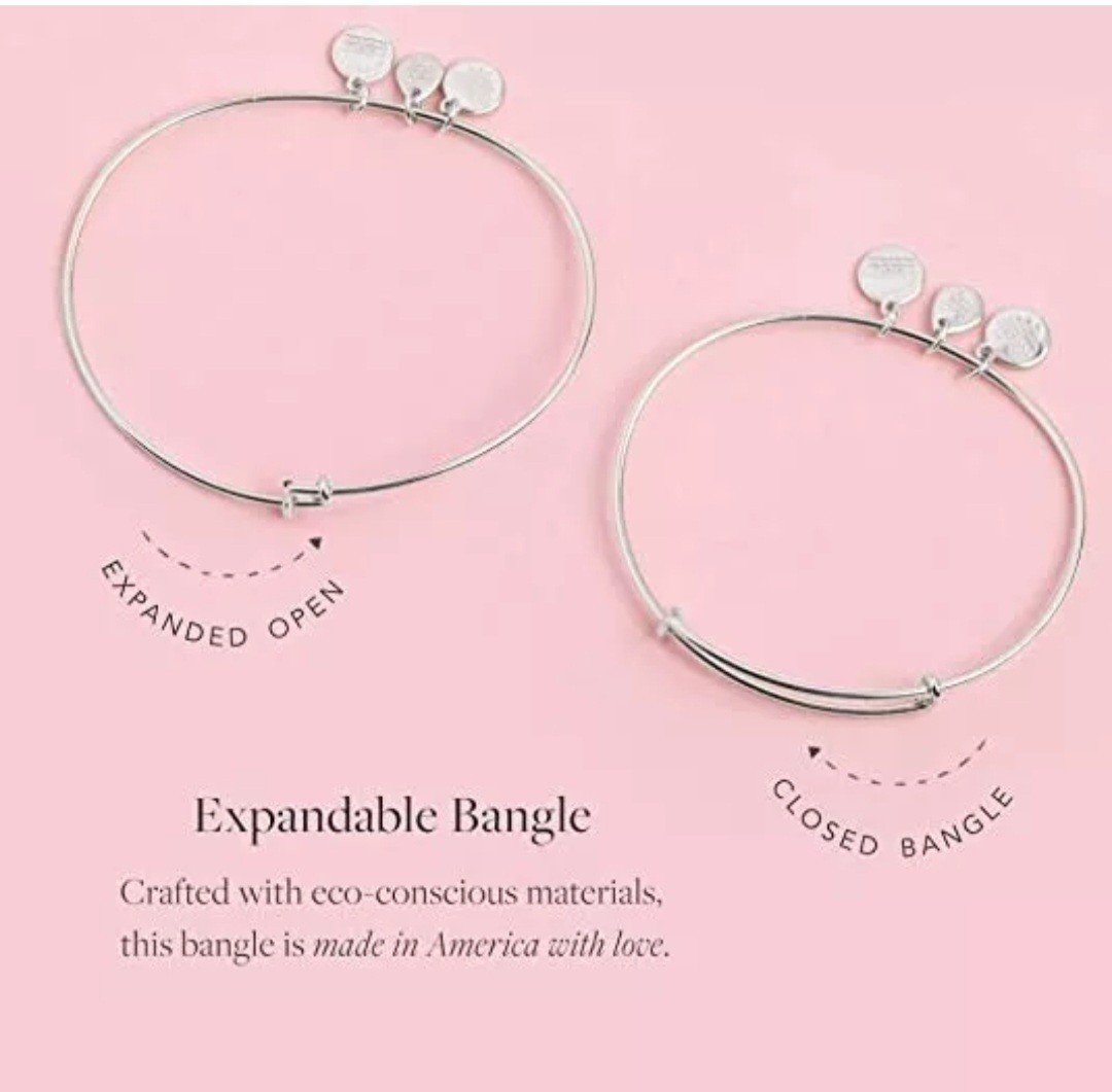 Alex & Ani FRIENDS YOUR’E MY LOBSTER DUO Silver Bangle New W/Tag Card & Box 🎁