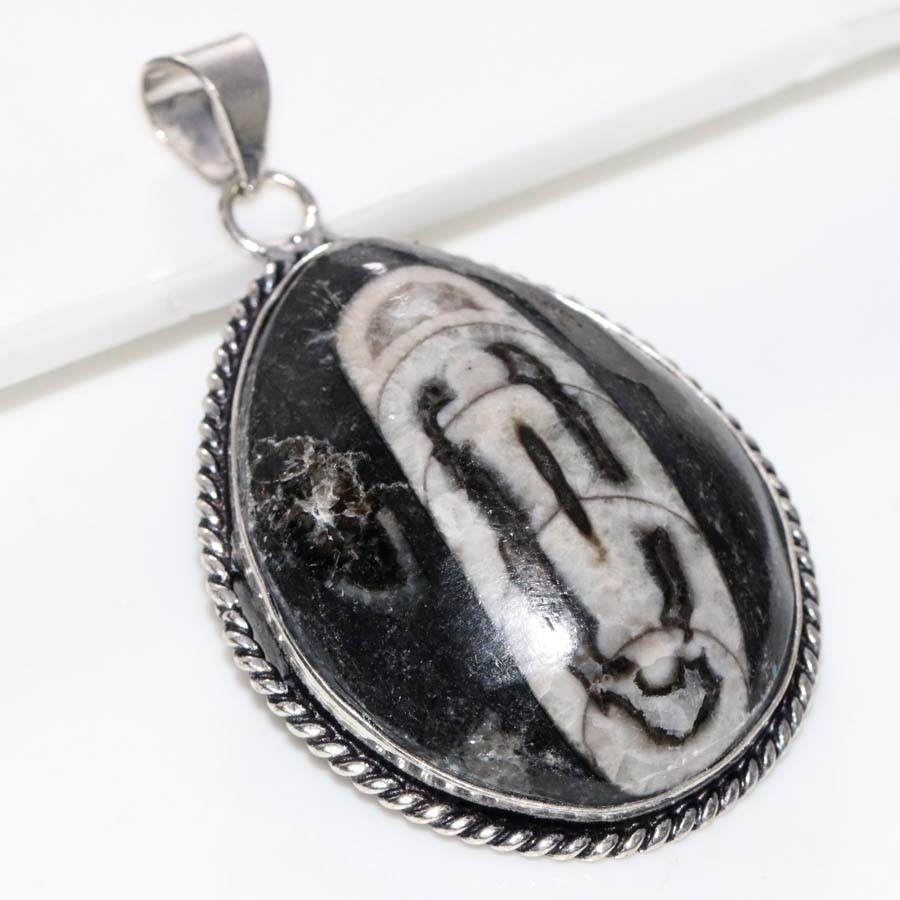 925 Silver Plated Orthoceras Pendant 2.1″ Gifts For Girlfriend Fashion Sale JW