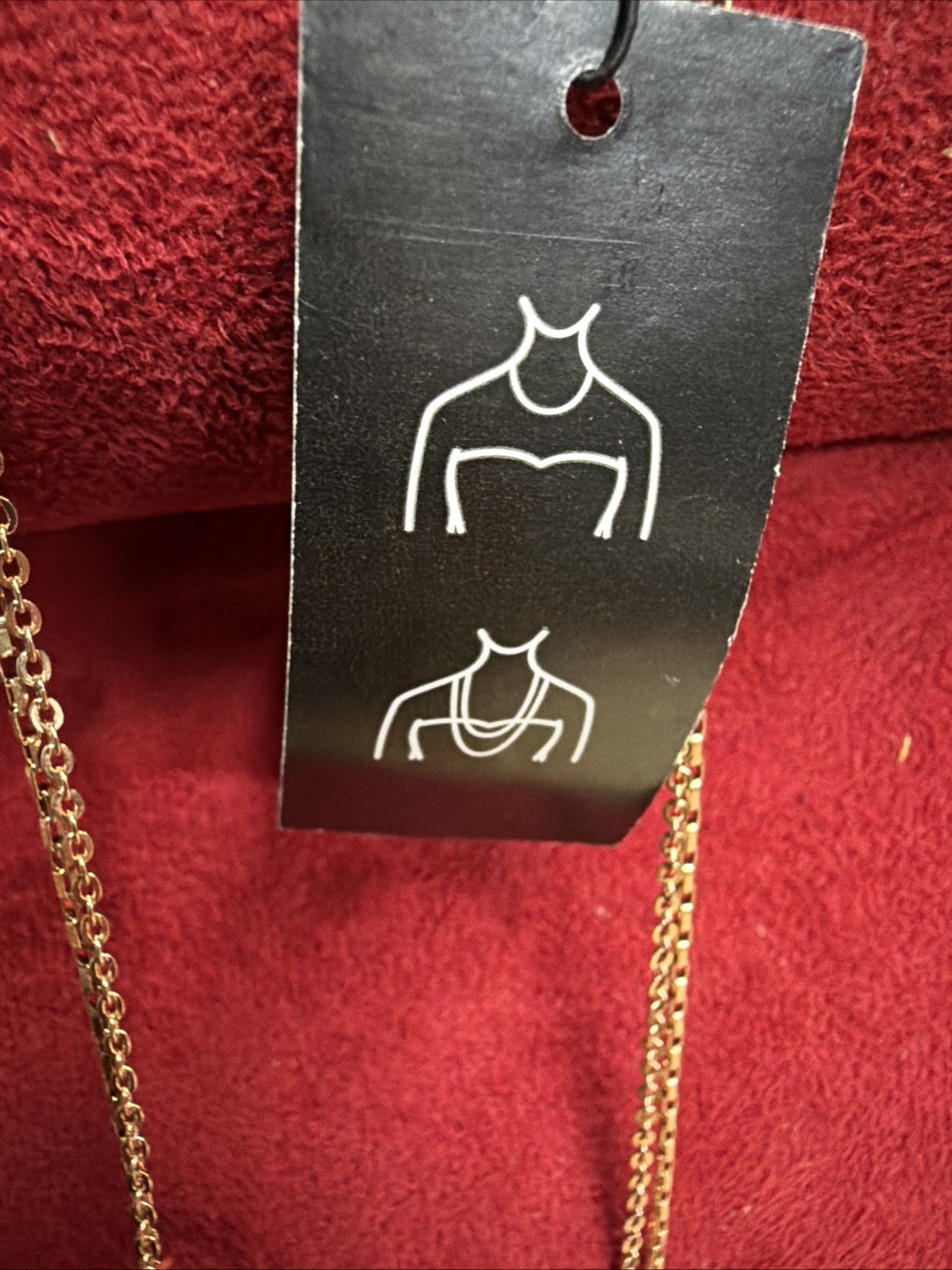 The Limited Convertible Necklace NWT