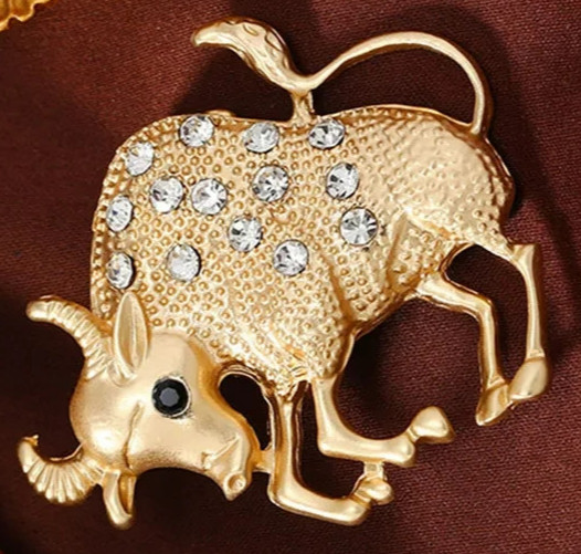 ZODIAC astrology PINS sign HOROSCOPE constellations birthday month brooch stars