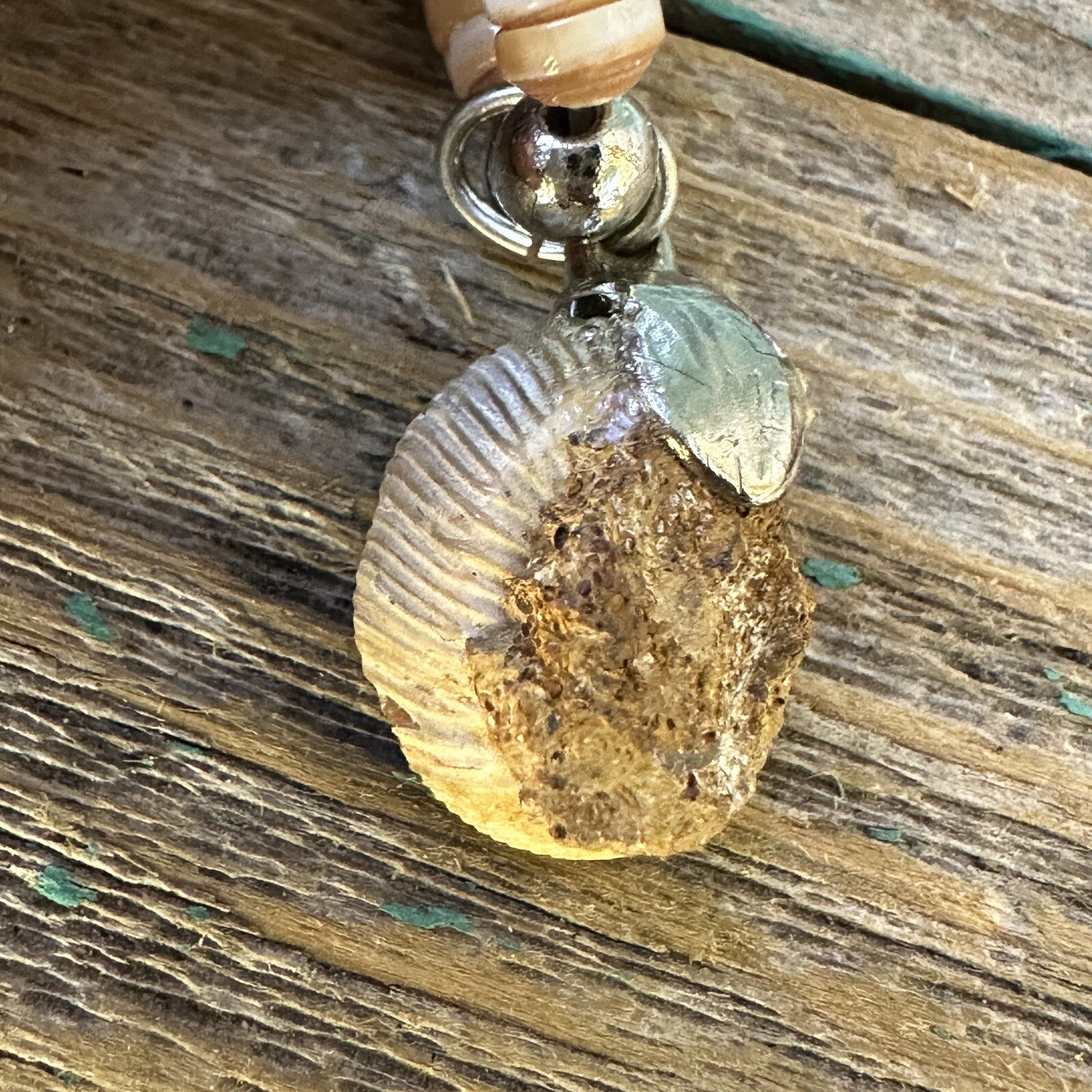 Ammonite Stone Shell Fossil Pendant Necklace 18 Inch Agate Beach Boho Hippie