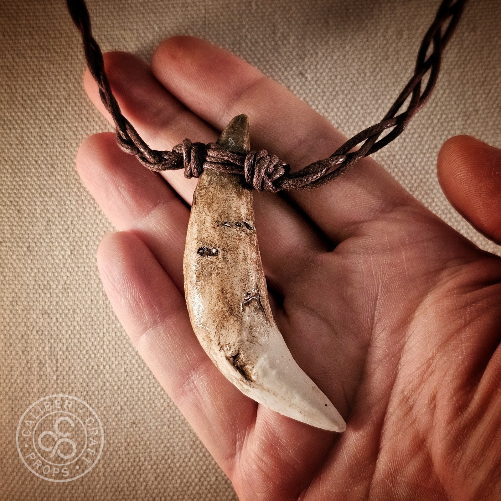 Prehistoric Wolf Fang Necklace Pendant Cast Resin Over 3″ long! Spartan Leonidas
