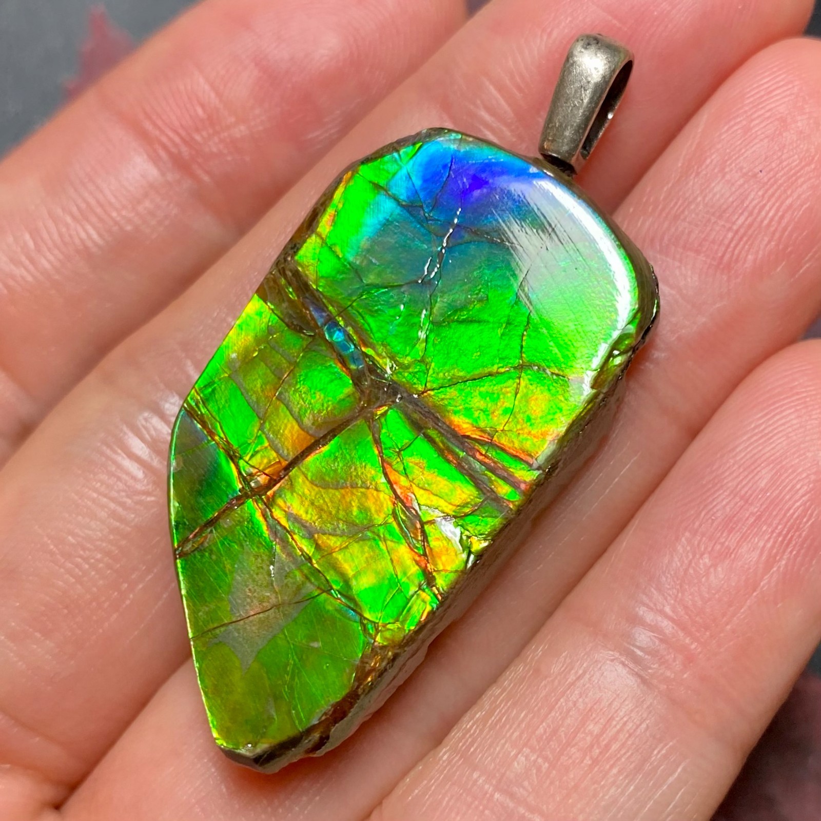 Ammolite Pendant Jewelry Genuine Canadian Gemstone Gift for Mom Multiple Options